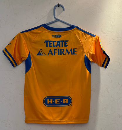 Tigres Local 24/25