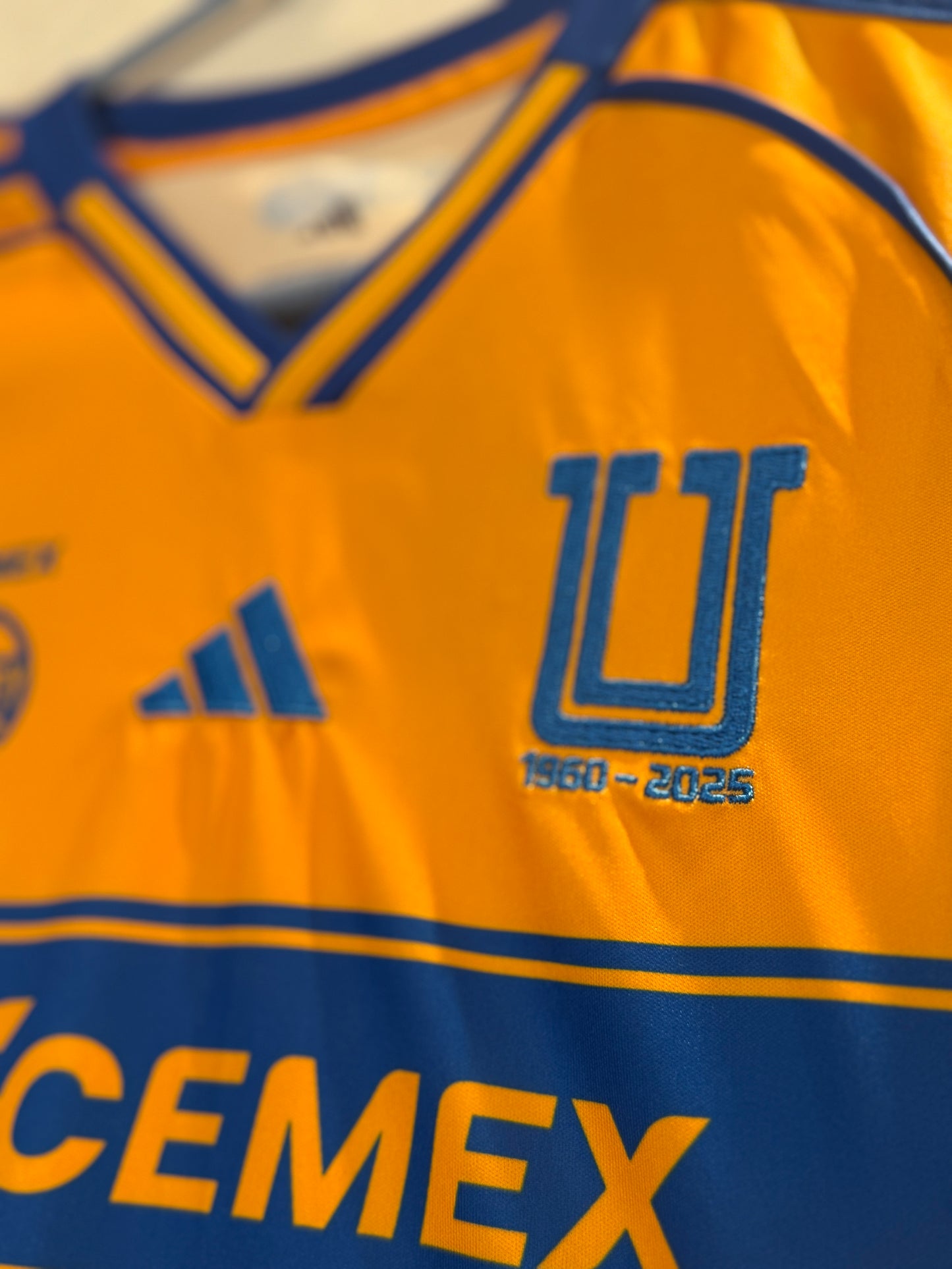 Tigres Local 24/25